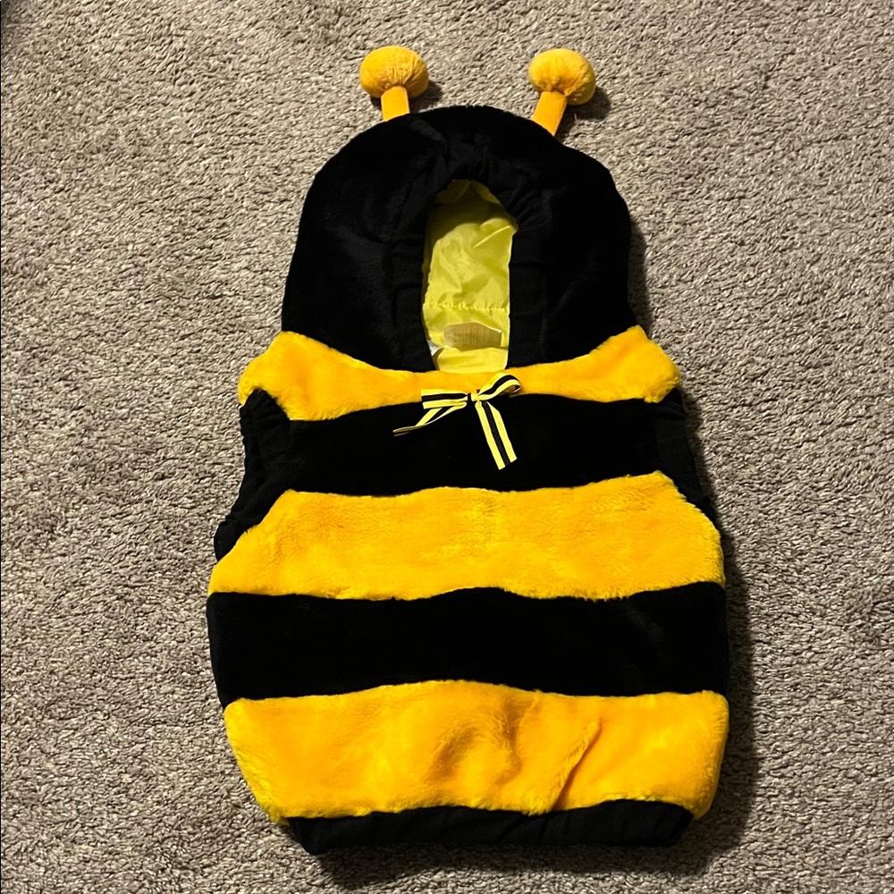 Yellow and Black Bumblebee Costume